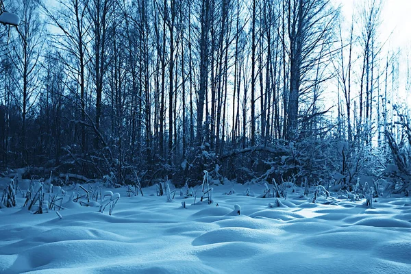 Landschap Winterbos Seizoensgebonden Prachtig Uitzicht Besneeuwd Bos December Natuur — Stockfoto