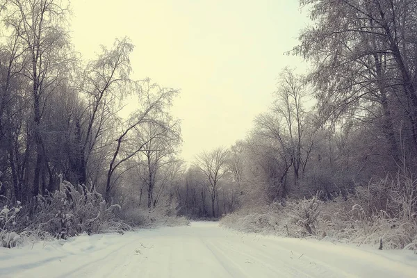 Zimowy Las Krajobraz Pokryty Śniegiem Grudzień Boże Narodzenie Natura Białe — Zdjęcie stockowe