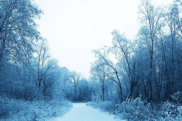 Vinter Väg Abstrakt Landskap Säsongsväg December Snö — Stockfoto