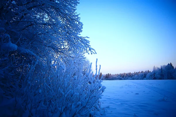 霜の背景 抽象的な風景雪の冬の自然霜で覆われた枝 — ストック写真