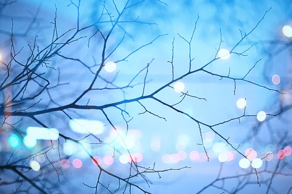 Гілки Сніжинки Зимовий Абстрактний Фон Святковий Новий Рік Сніг Холодної — стокове фото