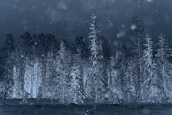 Éjszakai Erdő Karácsonyi Táj Szilveszter Este Egy Havas Erdőben — Stock Fotó