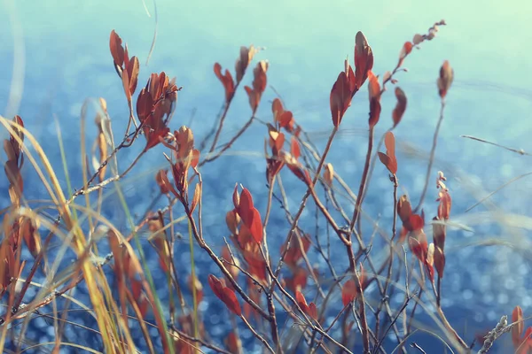 凍える川12月自然冬の四季折々の風景 — ストック写真