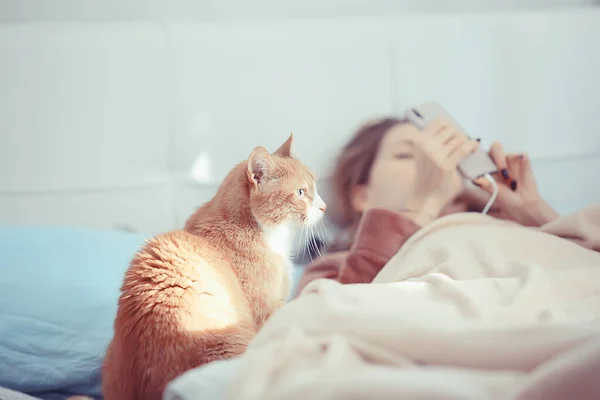 携带猫的妇女躺在床上 打电话 细小病毒2019年自我隔离检疫概念 — 图库照片