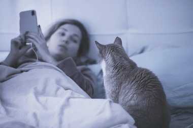 Kedili kadın yatakta yatıyor, telefon görüşmesi, soğuk algınlığı, covid virüs 2019 kendini izole etme konsepti.