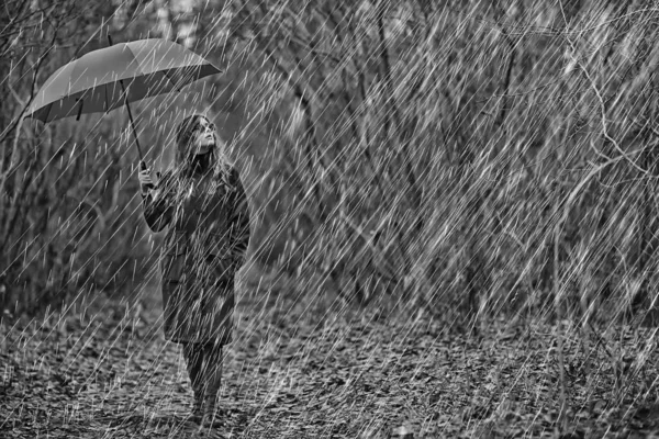 Retrato Sazonal Outono Menina Triste Com Guarda Chuva Novembro Sazonal — Fotografia de Stock