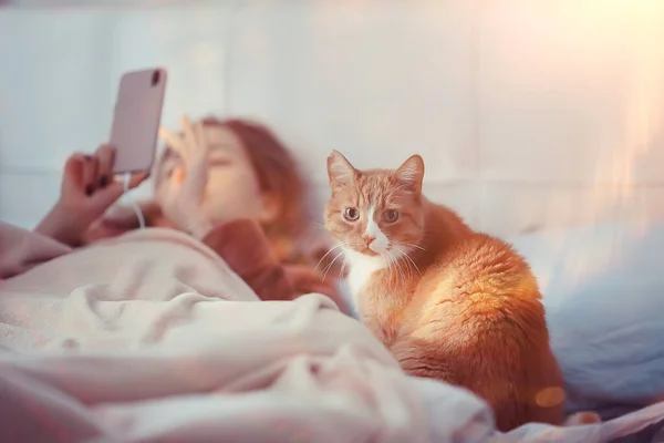 Жінка Кішкою Лежить Ліжку Телефонний Дзвінок Застуда Ковідний Вірус 2019 — стокове фото
