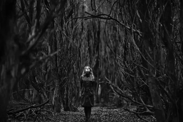 Gloomy Autumn Park Girl Portrait Unusual Toning Autumn Look Model — Stock Photo, Image