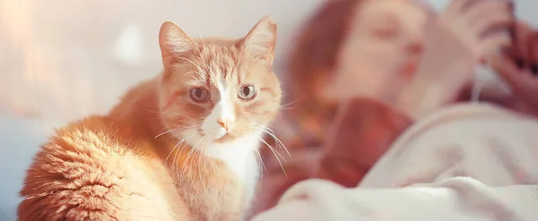 Mujer Con Gato Encuentra Cama Llamada Telefónica Resfriados Virus Covid —  Fotos de Stock