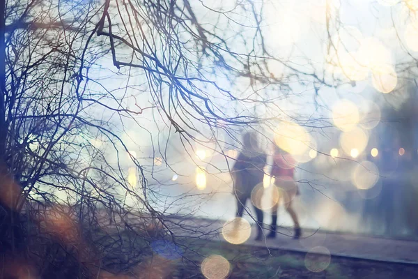 Bakgrund Höst Park Väder Kväll Promenad Säsong Väder November Stad — Stockfoto