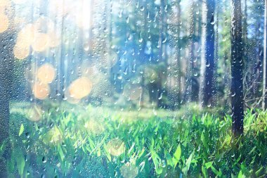 bahar yağmuru arka plan yaprakları, soyut arkaplan