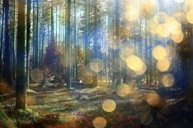 Bahar ormanı manzarası, soyut taze, mevsimsel doğa manzarası, yeşil ağaçlar güneş ışınları sabah