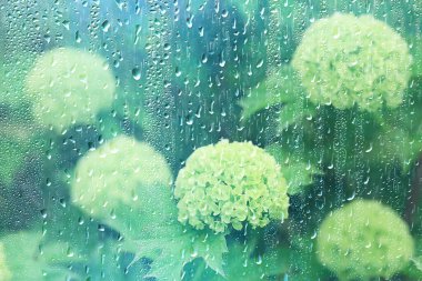 bahar yağmuru arka plan yaprakları, soyut arkaplan