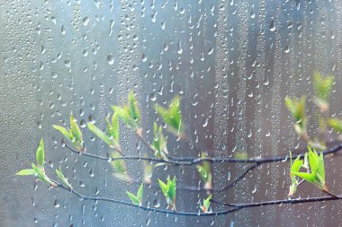 bahar yağmuru arka plan yaprakları, soyut arkaplan