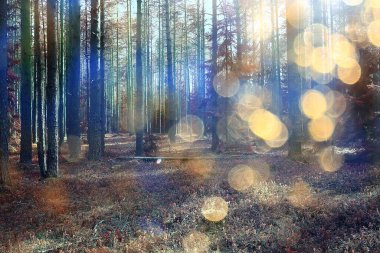 Bahar ormanı manzarası, soyut taze, mevsimsel doğa manzarası, yeşil ağaçlar güneş ışınları sabah