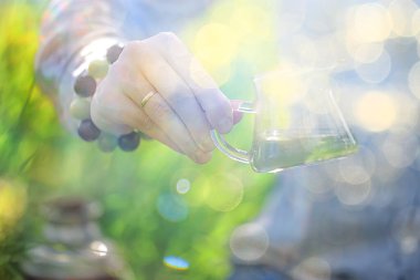 Asya 'da bahar sabahı, Çin aromalı sakura geleneksel çay seremonisi.