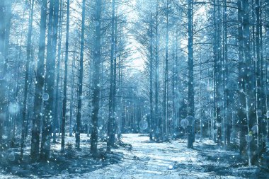 Ormanda ilkbahar başlangıcı, kar yağışı, soyut doğa manzarası, mevsimsel takvim manzarası.