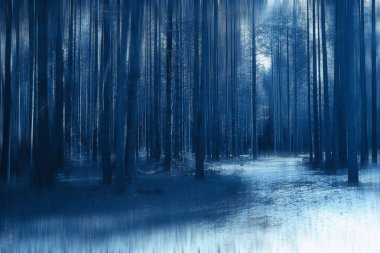 Orman baharı bulanık arka plan mavi, park doğasında soyut manzara mevsimsel