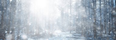 Ormanda ilkbahar başlangıcı, kar yağışı, soyut doğa manzarası, mevsimsel takvim manzarası.