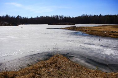 Parkta ilkbahar başları, soyut mevsimlik ağaçlar nisan ayında kar yağar