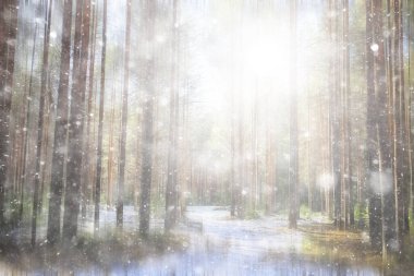 Ormanda ilkbahar başlangıcı, kar yağışı, soyut doğa manzarası, mevsimsel takvim manzarası.