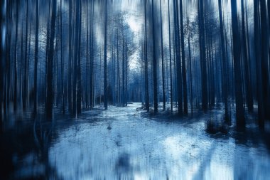 Orman baharı bulanık arka plan mavi, park doğasında soyut manzara mevsimsel