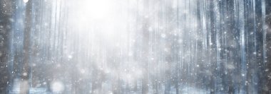 Ormanda ilkbahar başlangıcı, kar yağışı, soyut doğa manzarası, mevsimsel takvim manzarası.