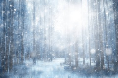 Ormanda ilkbahar başlangıcı, kar yağışı, soyut doğa manzarası, mevsimsel takvim manzarası.