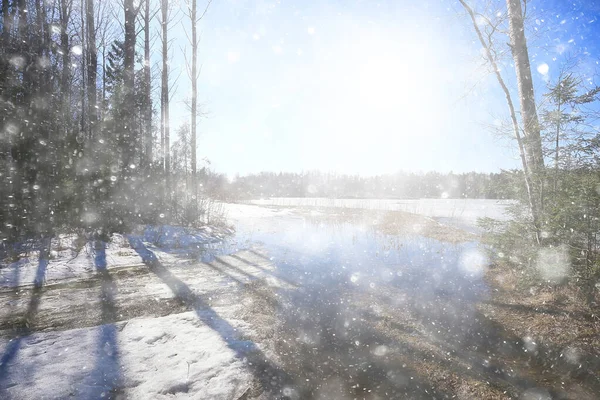 Début Printemps Dans Forêt Chutes Neige Fond Paysage Abstrait Dans — Photo