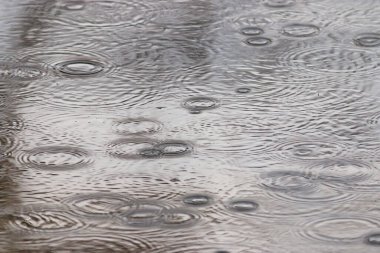 Yağmur birikintisi daireleri, su soyut arka plan, doku sonbahar suyu.