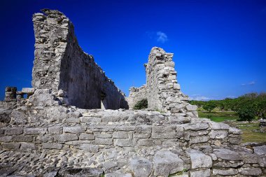 Meksika Piramitleri Maya antik şehri, Kolombiya öncesi manzara, Chicago Maya