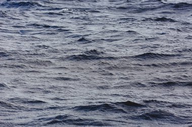 Karanlık deniz dalgaları arka planda su dalgaları dokusu, deniz soyutlaması, okyanus rüzgarı