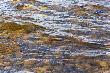 şeffaf su taşları alt doku, soyut su arka plan doğa