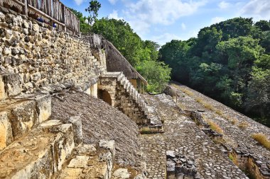 Meksika Piramitleri Maya antik şehri, Kolombiya öncesi manzara, Chicago Maya
