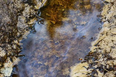 Su birikintisi arka planda petrol sızıntıları, soyut benzin kirliliği kavramı