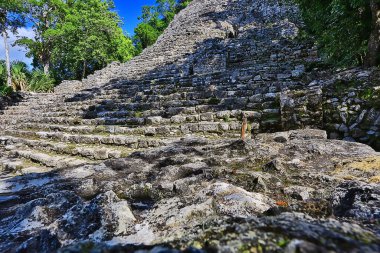 Meksika Piramitleri Maya antik şehri, Kolombiya öncesi manzara, Chicago Maya