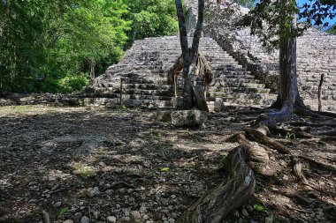 Meksika Piramitleri Maya antik şehri, Kolombiya öncesi manzara, Chicago Maya