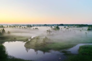 Akşam sisi orman nehri, sabah ormanı manzarası güzel arka plan.