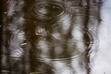 Yağmur birikintisi daireleri, su soyut arka plan, doku sonbahar suyu.