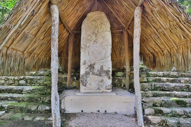 Meksika Piramitleri Maya antik şehri, Kolombiya öncesi manzara, Chicago Maya