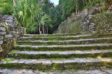 Meksika Piramitleri Maya antik şehri, Kolombiya öncesi manzara, Chicago Maya