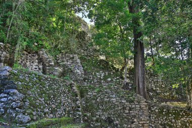 Meksika Piramitleri Maya antik şehri, Kolombiya öncesi manzara, Chicago Maya
