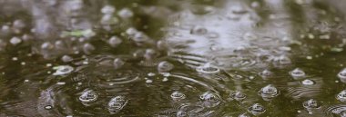 Yağmur birikintisi daireleri, su soyut arka plan, doku sonbahar suyu.