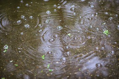 Yağmur birikintisi daireleri, su soyut arka plan, doku sonbahar suyu.