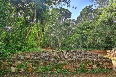 Meksika Piramitleri Maya antik şehri, Kolombiya öncesi manzara, Chicago Maya
