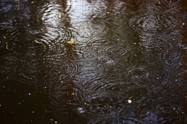 Yağmur birikintisi daireleri, su soyut arka plan, doku sonbahar suyu.