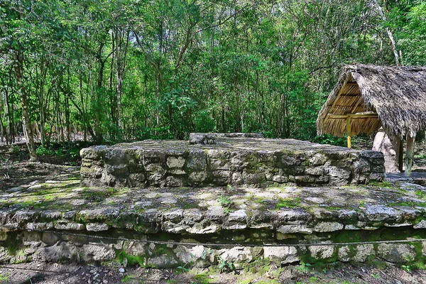 Mexico Pyramids Mayan Ancient City Landscape Pre Columbian America Chicenica — Stock Photo, Image