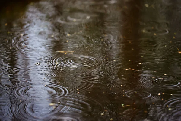 Kałuże Deszczowe Aqua Abstrakcyjne Tło Tekstura Jesień Woda — Zdjęcie stockowe