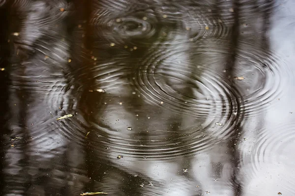 Dešťové Louže Kruhy Aqua Abstraktní Pozadí Textura Podzimní Voda — Stock fotografie