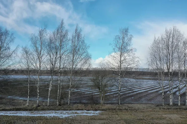 Early Spring Field Top View Drone Abstract Landscape Flight — Stock Photo, Image